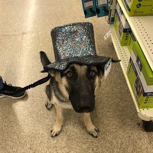 Meet your Posher, Bryan